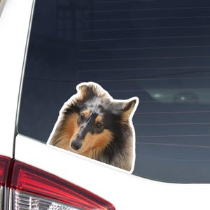 May include: A die-cut sticker of a Collie dog with a white border. The dog has a brown and black coat with a white patch on its forehead. The sticker is placed on the rear window of a white vehicle.