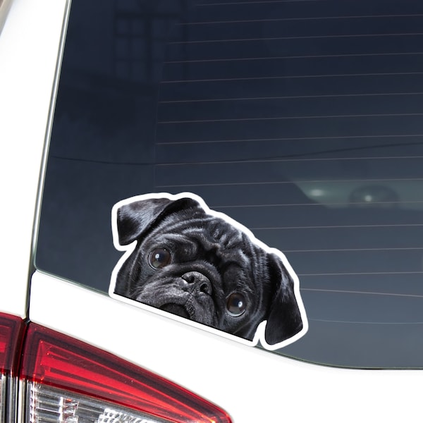 Peeking Black Pug Car Decal Sticker / Looking Out Pug Bumper Window Laptop Vinyl Waterproof Removable Outdoor / Realistic Dog Face