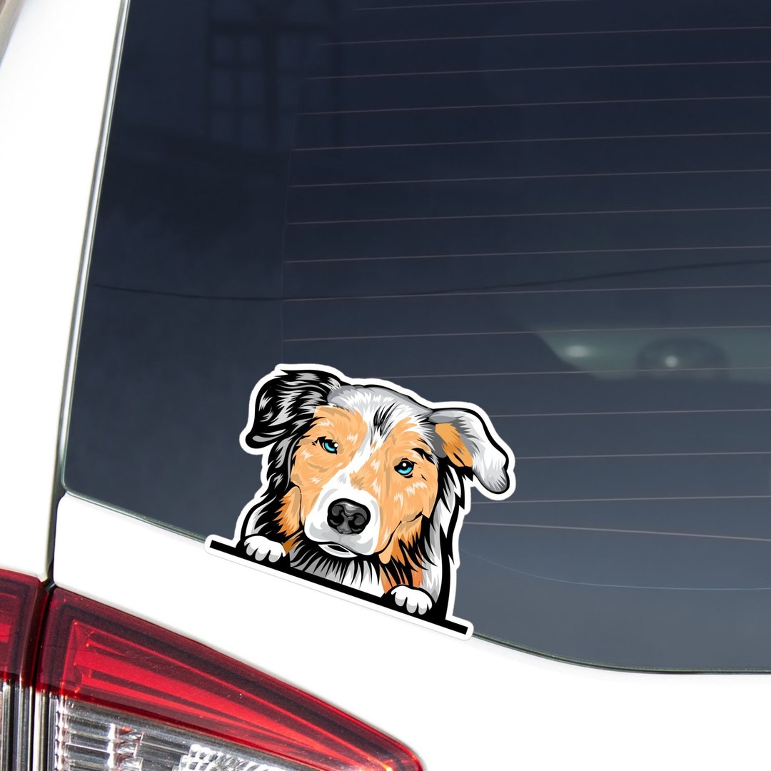 Australian Shepherd Car Sticker Decal / Red White Aussie Dog Etsy
