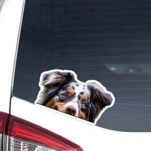 Blue Merle Tricolor Australian Shepherd Car Sticker Decal / Peeking Aussie Dog Head / Vinyl Waterproof Removable Outdoor / Window Bumper