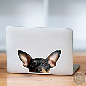 May include: A black and brown dog with large ears peeks over the top of a silver laptop computer.
