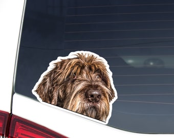 Brown Korthals Griffon Car Decal Sticker/Peeking Wirehaired Pointing Griffon Head/Vinyl Waterproof Removable Outdoor/Bumper Window Laptop