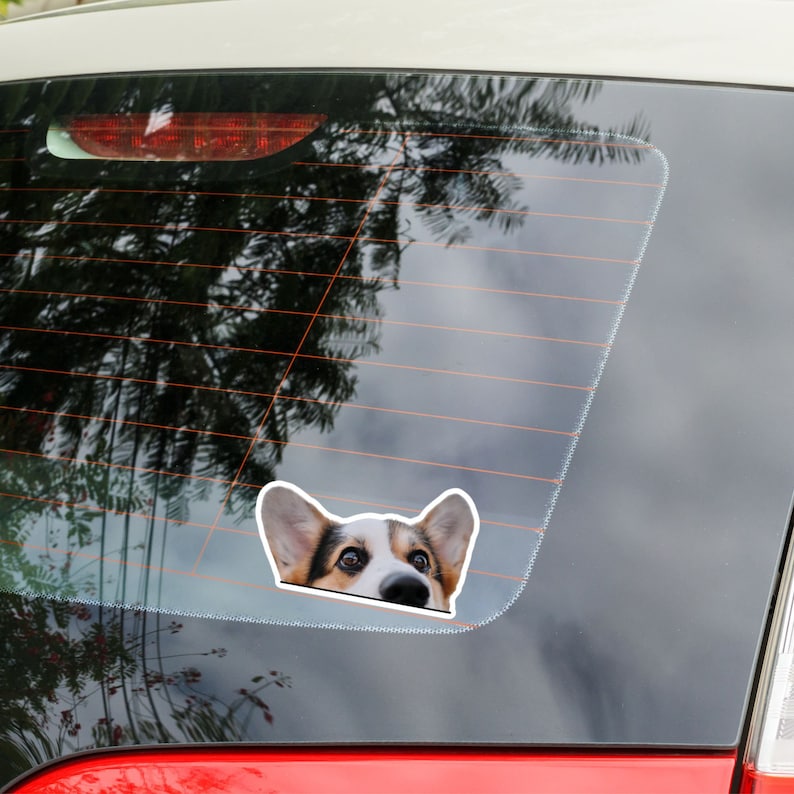 Tricolor Corgi Car Sticker Decal / Peeking Welsh Tri Corgi Head / Vinyl Waterproof Removable Outdoor / Window Bumper Laptop Bottle image 4