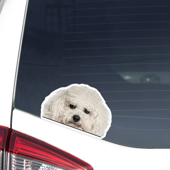 White Bijon Frise Dog \" Sticker For Sale By BlessItAllTees