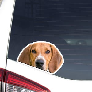 American Foxhound Car Decal Sticker / Peeking Black&Whitetan Dog Head / Vinyl Waterptroof Outdoor Removable / Bumper Window Laptop