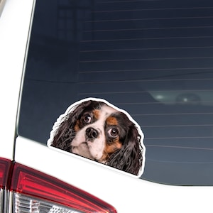 Cavalier King Charles Spaniel Car Decal Sticker / Peeking Tricolor Dog / Vinyl Waterproof  Removable Outdoor / Bumber Window Laptop