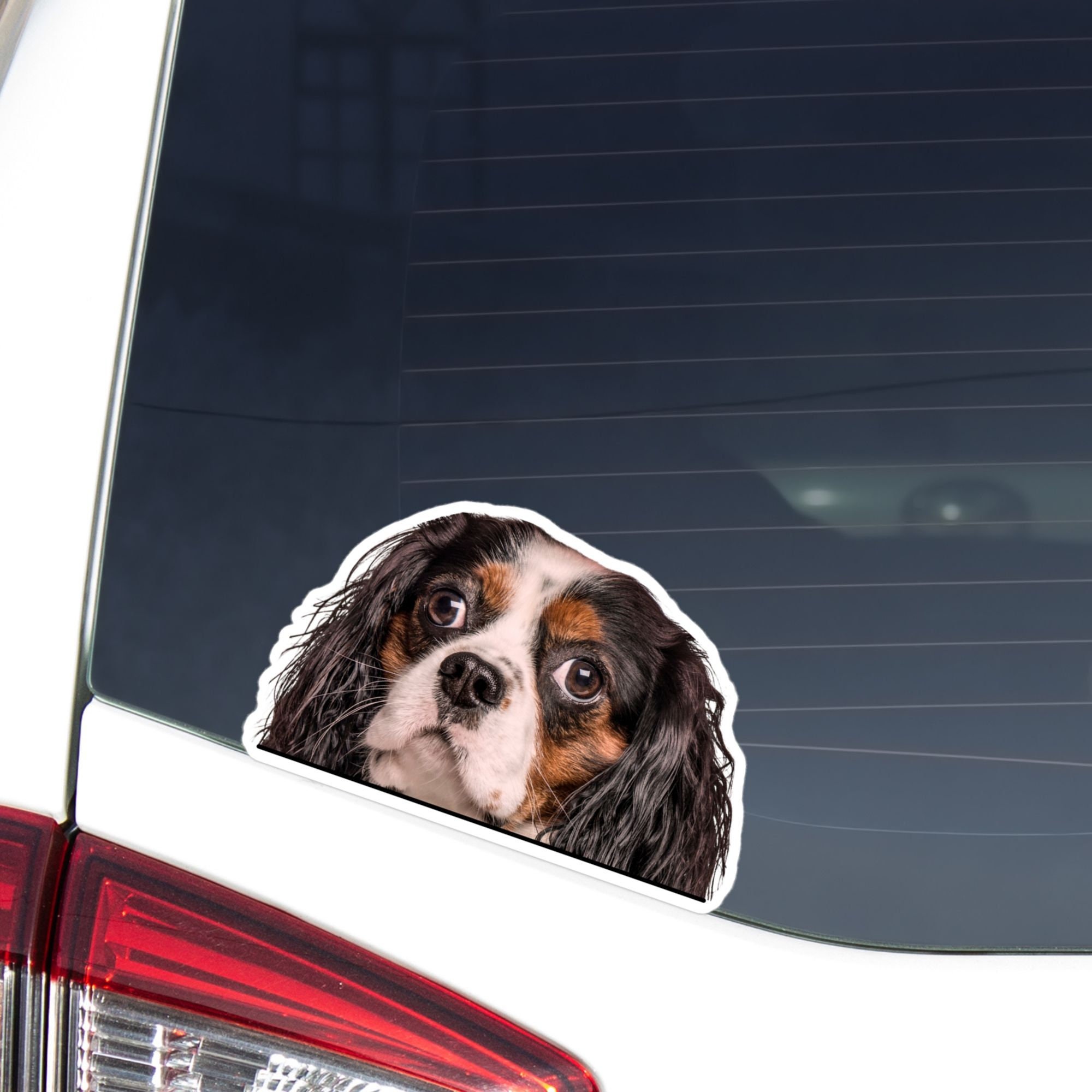 Quadratische Aufkleber Cavalier King Charles Spaniel – 10 Cm, 2 Stück, Glänzendes Vinyl