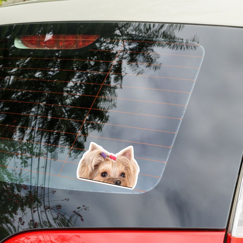Yorkshire Terrier Car Sticker Decal / Peeking Realistic Yorkie Girl Bow ...