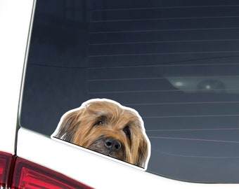 Tawny Briard Car Decal Sticker / Peeking Realistic  Briard Dog Head / Vinyl Waterptroof Outdoor Removable / Bumper Window Laptop Phone