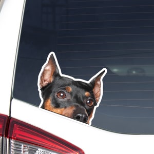 Miniature Pinscher Car Decal Sticker / Peeking Black&Tan Mini Dog Head  / Vinyl Waterproof Removable Outdoor / Bumper Window Laptop Phone