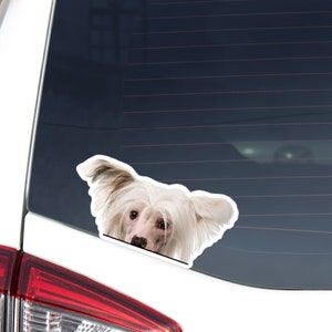 Chinese Crested Car Decal Sticker / Peeking Realistic Pink Dog Head Face / Vinyl Waterptroof Outdoor Removable / Bumper Window Laptop