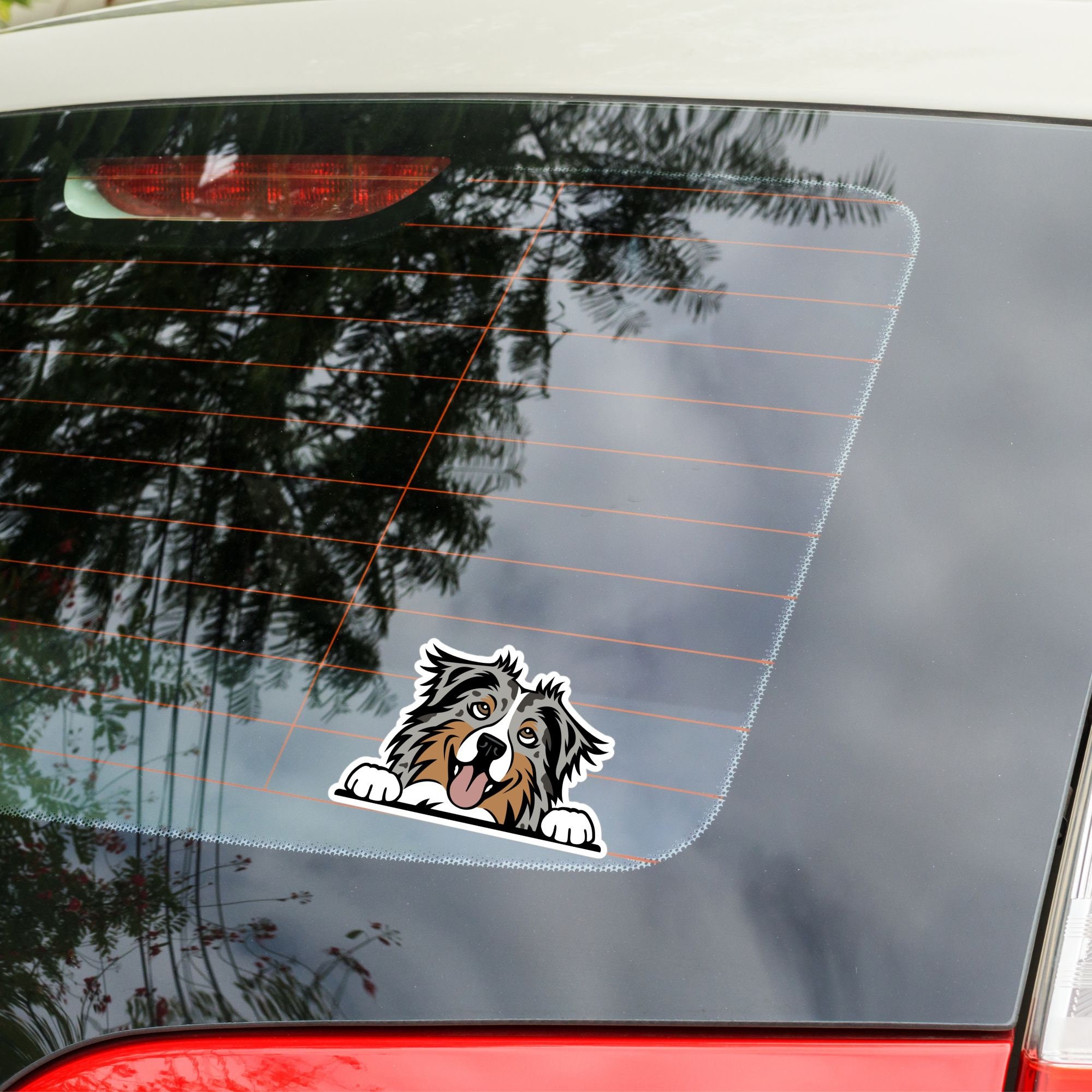 Blue Merle Australian Shepherd Car Sticker Decal / Cartoon Peeking ...