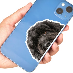 Peeking Cockapoo Car Decal Sticker / Realistic Black Cockapoo Dog Head ...