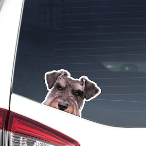 Liver&Pepper Mini Schnauzer Car Decal Sticker / Peeking Realistic Dog Head / Vinyl Waterproof Removable Outdoor /Bumper Window Laptop Phone