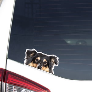 Tricolor Shetland Sheepdog Car Decal Sticker / Peeking Realistic Sheltie Dog Head / Vinyl Waterproof Removable Outdoor /Bumper Window Laptop