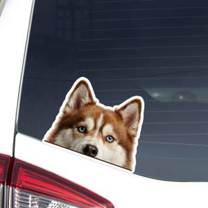 May include: A car window sticker featuring a close-up of a Siberian Husky dog's face. The dog has brown and white fur with striking blue eyes. The sticker is white with a die-cut edge, and is placed on a car window.