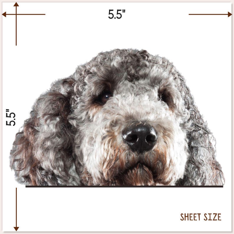Labradoodle Car Decal - Peeking Grey Cobberdog Waterproof Sticker - Etsy