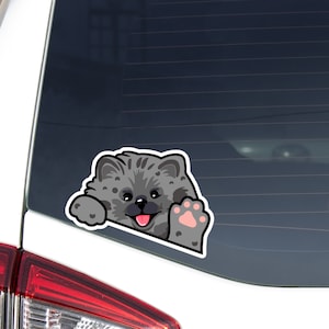 Blue Merle Pomeranian Spitz Car Decal / Peeking Kawaii Pom Dog Head Waving Paw / Vinyl Waterproof Removable Outdoor / Bumper Window Laptop
