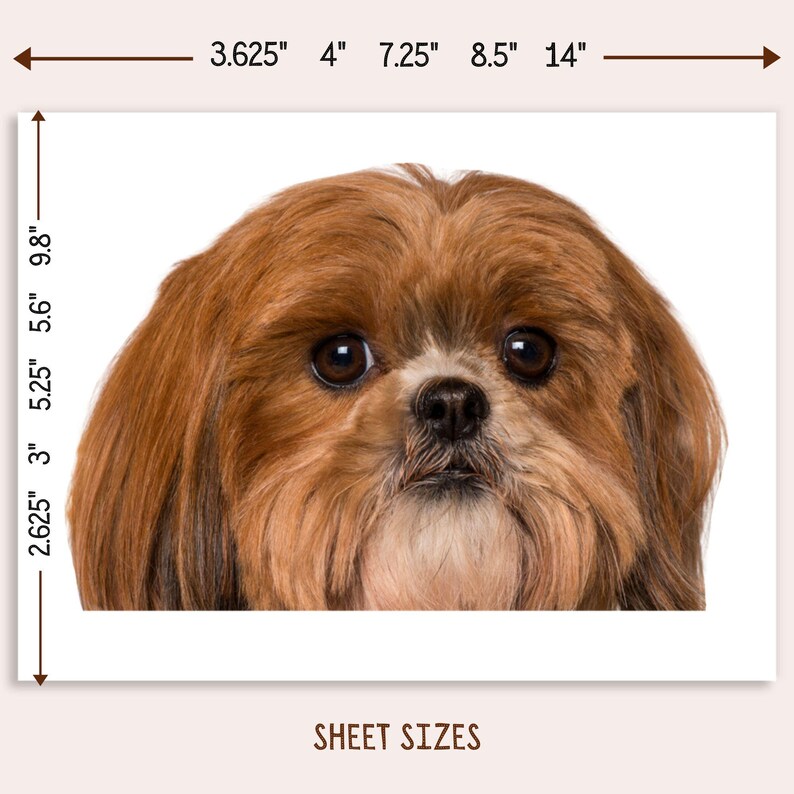 Shih Tzu Car Decal - Peeking Dark Red Dog Vinyl Waterproof Sticker ...