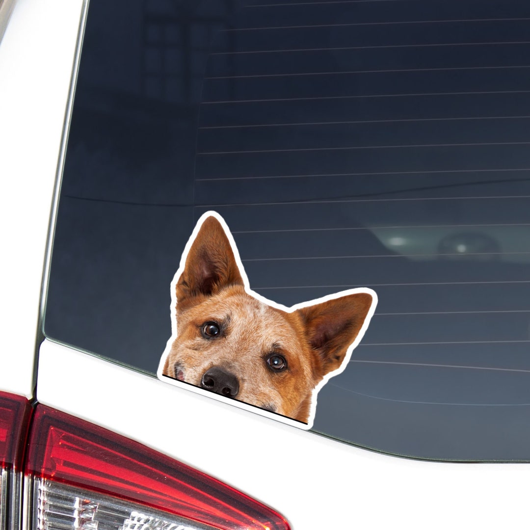 Obey The Heeler Australian Cattle Dog Decal – Vinyl Car Window Sticker, 5" X 4.5" - View #4