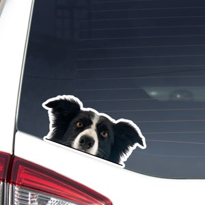 Peeking Border Collie Car Sticker Decal / Realistic Black&White Dog Head / Vinyl Waterproof Removable Outdoor / Window Bumper Laptop Bottle