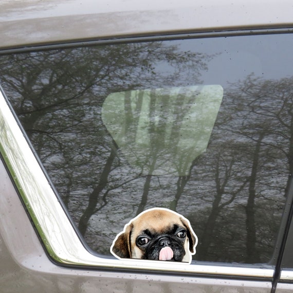 Pug Sticker Pug decal Funny pug decal Pug bumper sticker Car -  Portugal