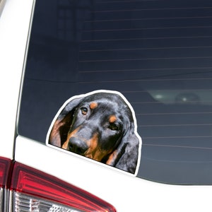 Black Tan Coonhound Car Decal Sticker / Peeking Realistic Coonhound Dog Head Face / Vinyl Waterproof Removable Outdoor /Bumper Window Laptop