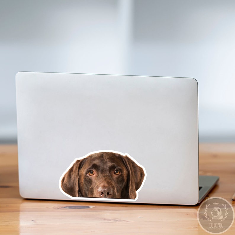 Peeking Labrador Car Decal Sticker / Chocolate Labrador Dog Etsy