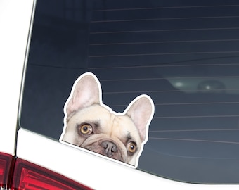Cream French Bulldog Car Decal - Peeking Frenchie Waterproof Sticker