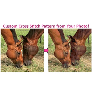 Custom Cross Stitch Pattern from Your Photo - Convert Photo to Cross Stitch Pattern - PDF Cross Stitch Pattern