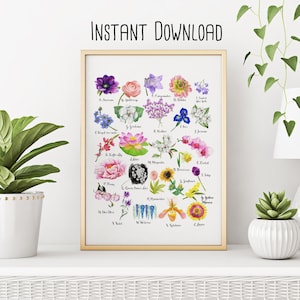 Bloem alfabet grafiek, aquarel alfabet grafiek, bloem alfabet, bloem kwekerij decor, pioen kwekerij decor, kwekerij afdrukbare