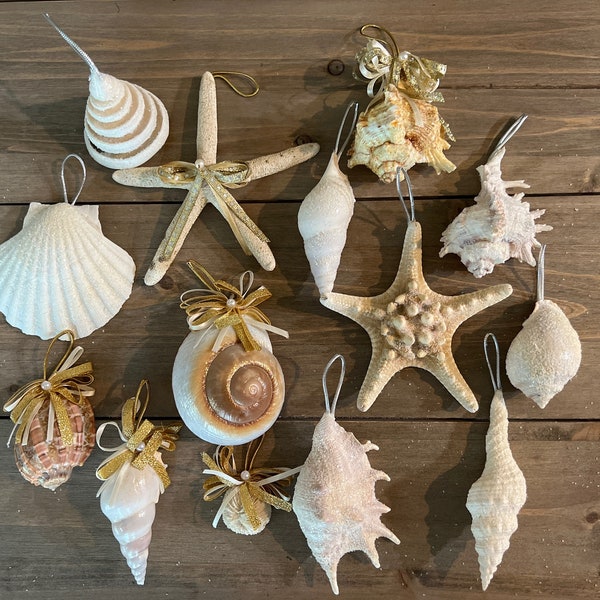 Seashell Ornaments Variety for Christmas or Anytime - Only 3B style left