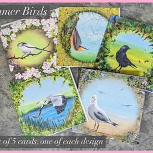 Set van 5 blanco wenskaarten, zomervogelcollectie