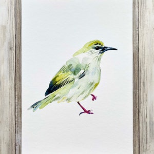 Impression d'art oiseau coloré - Plante grimpante