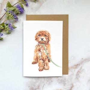 SET AUS 5 Cockapoo Hund Grußkarten - A6 Größe