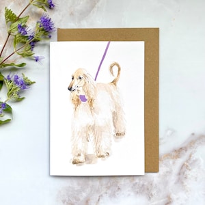 LOT DE 5 cartes de voeux illustrées chien lévrier afghan - Format A6