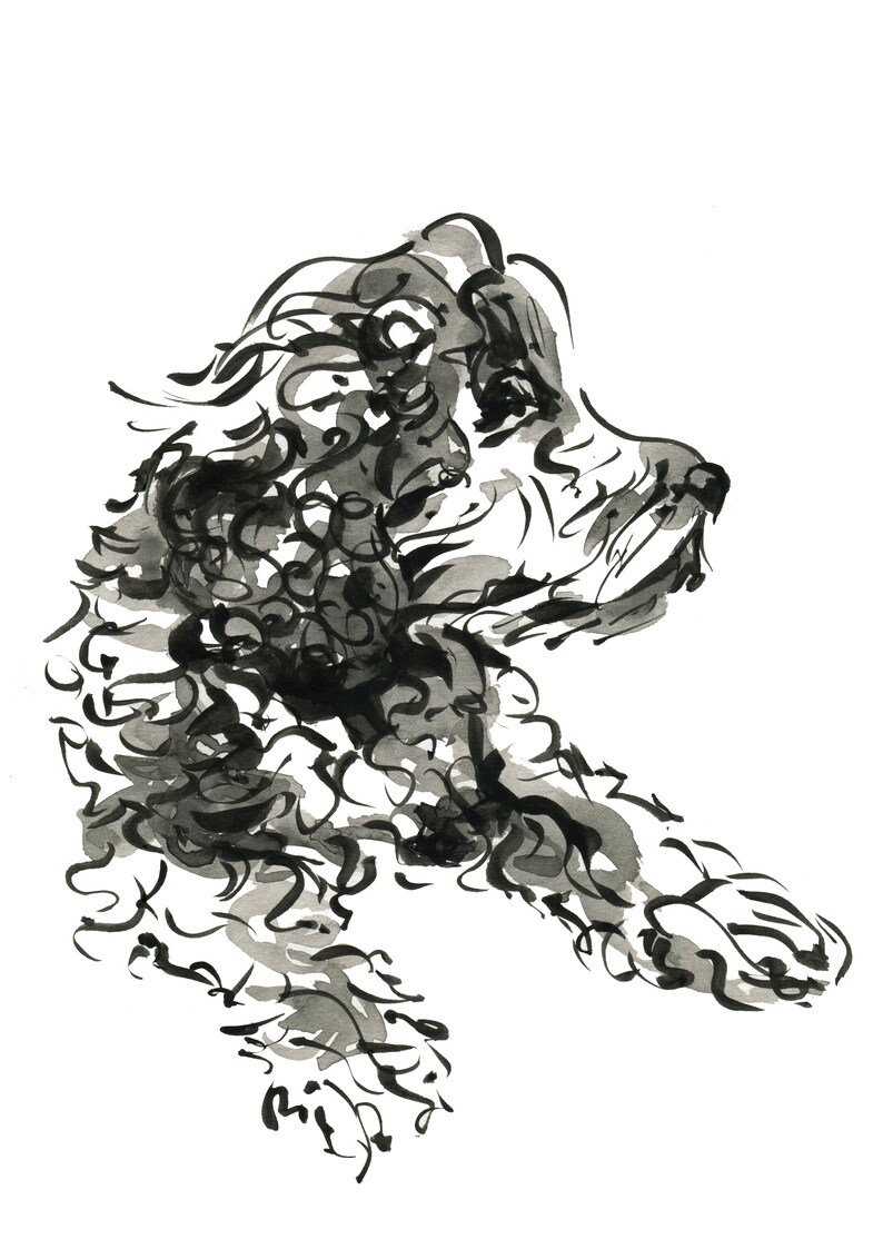 Cockapoo Poodle Dog Art Print A4 Size Black and White, Monochrome - Etsy