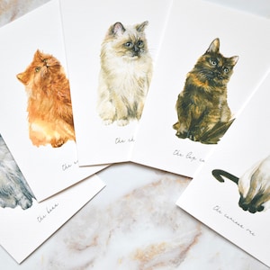 SET OF 5 Illustrated Cat Notelets - A6 Size Greetings Cards