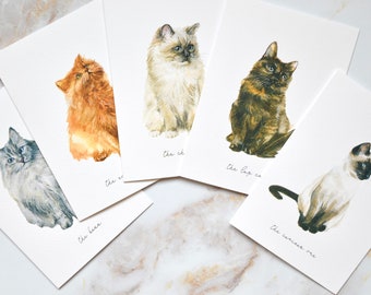 SET OF 5 Illustrated Cat Notelets - A6 Size Greetings Cards