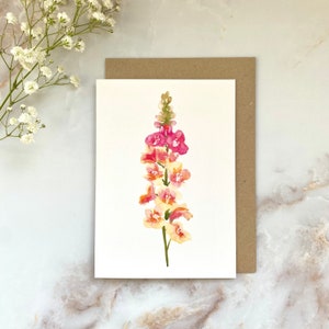 SET VON 5 Florale Botanische Notizzettel - Pfirsich Löwenmäulchen - Illustrierte A6 Grußkarten