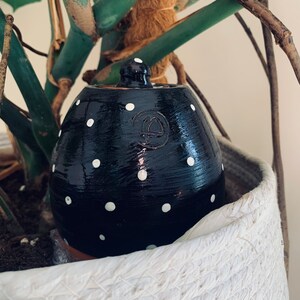 Olla to plant / Size M / polka dot image 3