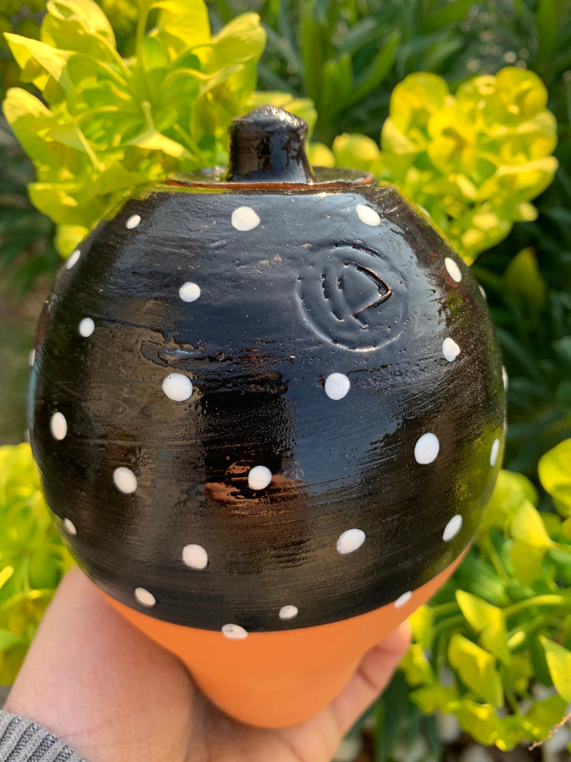 Olla à Planter Pois