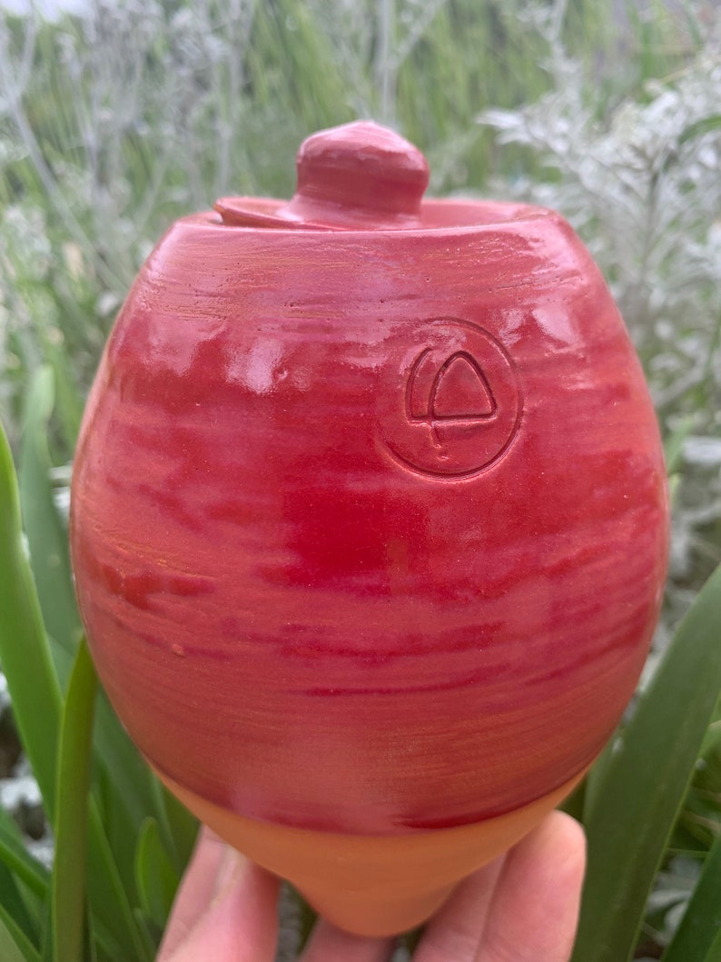 Olla a planter / Taille M / rouge image 1