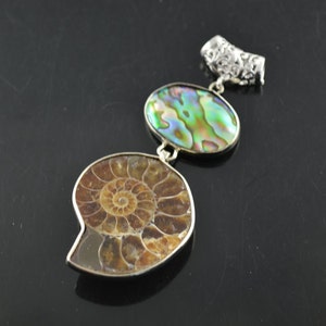 1pc Natural Ammolite Stone Abalone shell Pendant fit fashion jewelry making image 1