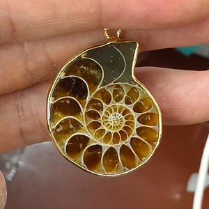 1pc Natural Ammolite Shell Fossil Stone Pendant fit fashion jewelry making Gold color