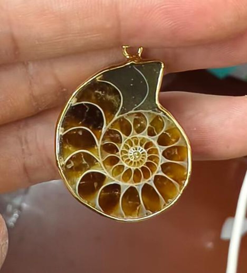 1pc Natural Ammolite Shell Fossil Stone Pendant fit fashion jewelry making Gold color