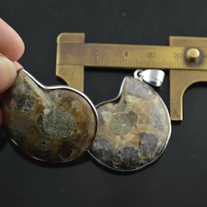 May include: Two brown and gray ammonite fossil pendants with silver-toned metal settings. The pendants are approximately 2 inches in diameter.