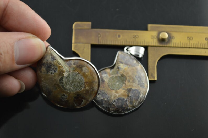 May include: Two brown and gray ammonite fossil pendants with silver-toned metal settings. The pendants are approximately 2 inches in diameter.