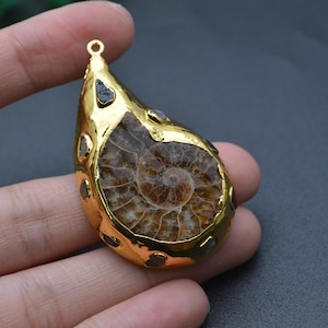 May include: Gold-tone pendant featuring a fossilized ammonite with a spiral pattern and black gemstone accents.