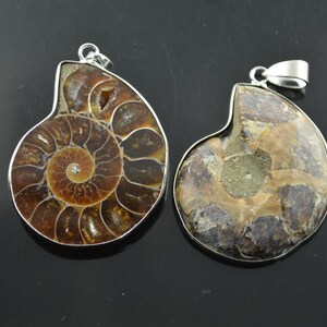 May include: Two silver ammonite fossil pendants. One pendant is brown with a detailed spiral pattern. The other pendant is a light brown with a more muted pattern.